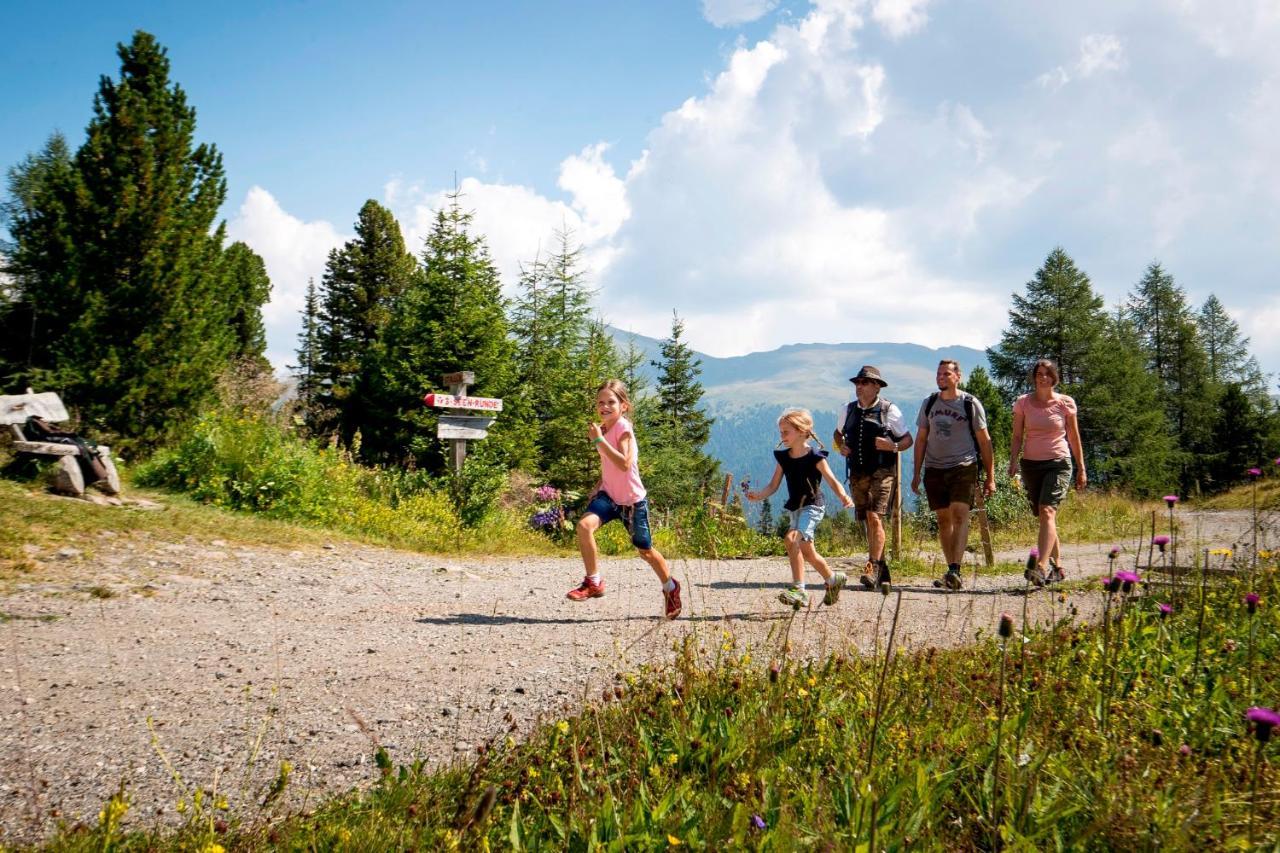 Naturpark Huette Mandl, Biobauernhof & Huettenurlaub Sankt Lambrecht Εξωτερικό φωτογραφία