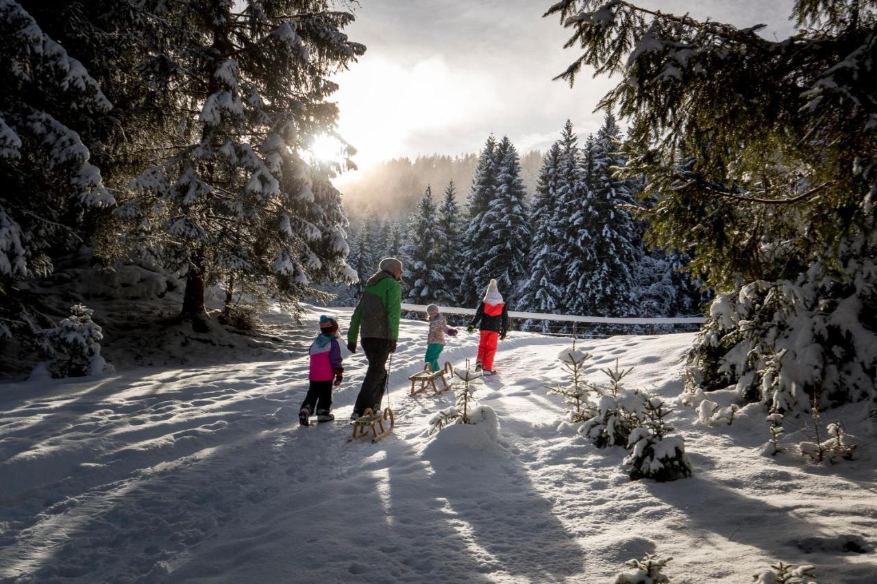 Naturpark Huette Mandl, Biobauernhof & Huettenurlaub Sankt Lambrecht Εξωτερικό φωτογραφία
