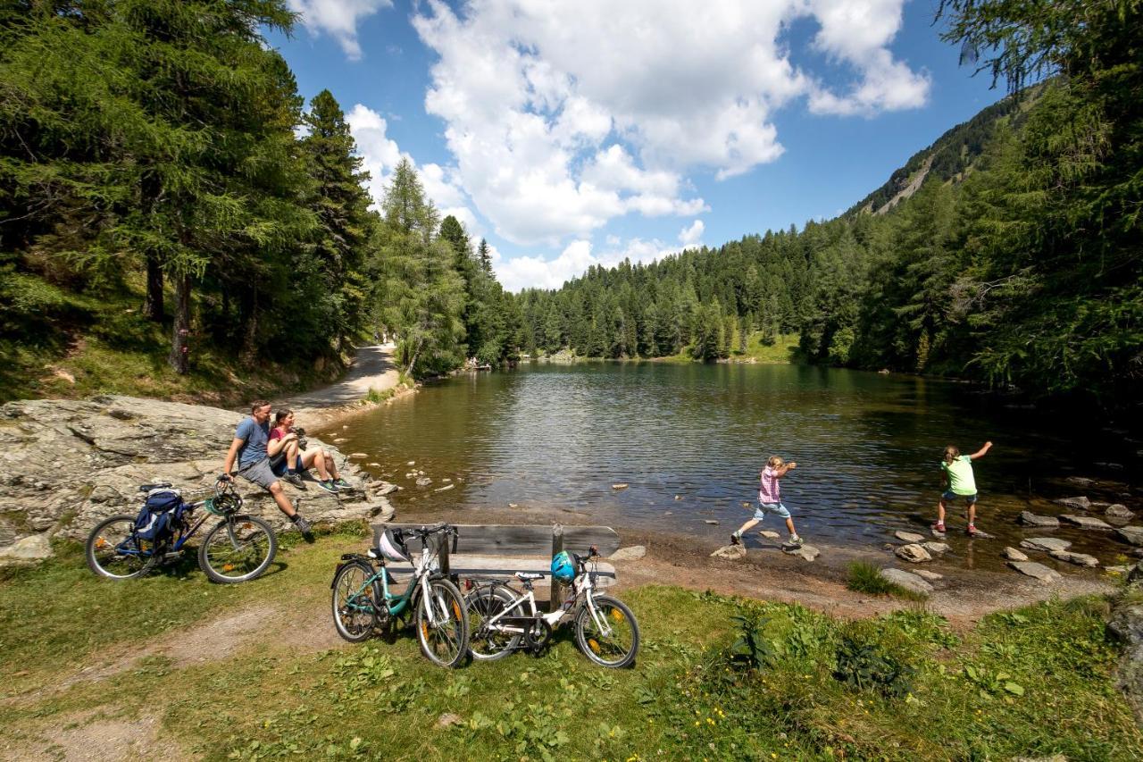 Naturpark Huette Mandl, Biobauernhof & Huettenurlaub Sankt Lambrecht Εξωτερικό φωτογραφία