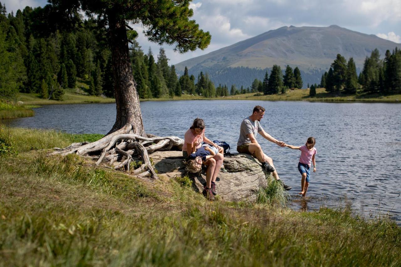 Naturpark Huette Mandl, Biobauernhof & Huettenurlaub Sankt Lambrecht Εξωτερικό φωτογραφία